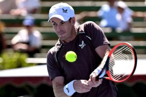 PG电子-关于穆雷回归赛场，大胜首场状态亮眼，雄鹿观众沸腾！的信息